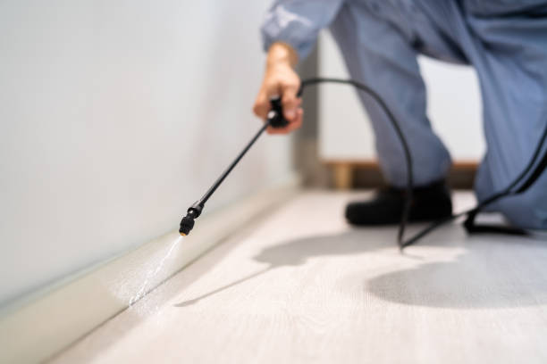 Licensed Pest Control service in Oak Ridge, NC - Show Me Pest Control